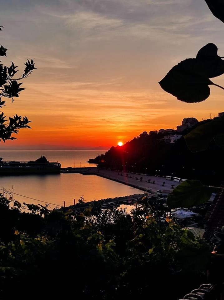 Louisa Studios Poros (Kefalonia) Exterior foto